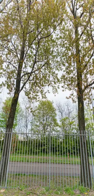 Faq image of pvc supplier uae